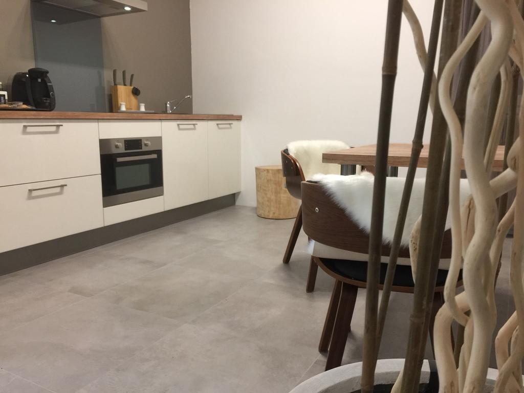 Loft Spa - Cote Chateau. Carcassonne Eksteriør bilde